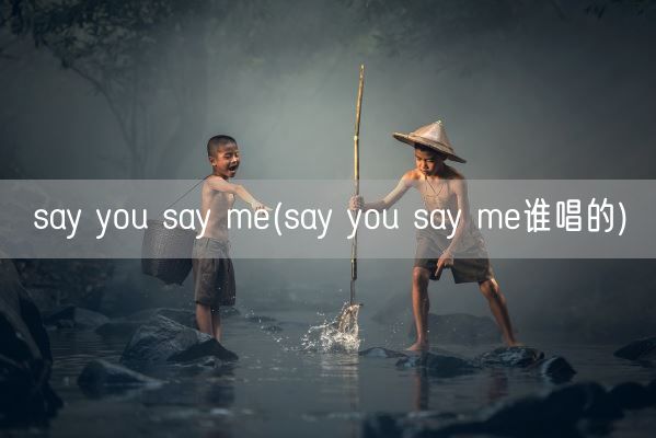 say you say me(say you say me谁唱的)(图1)