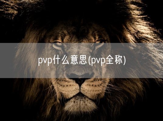 pvp什么意思(pvp全称)(图1)