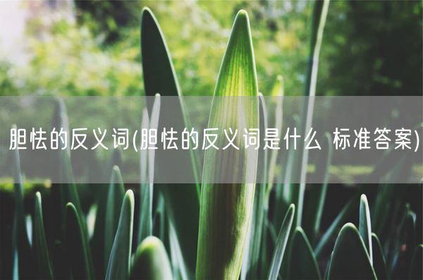 胆怯的反义词(胆怯的反义词是什么 标准答案)(图1)