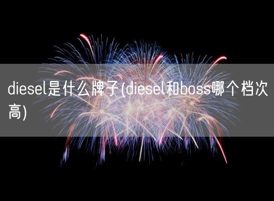 diesel是什么牌子(diesel和boss哪个档次高)(图1)