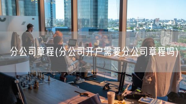 分公司章程(分公司开户需要分公司章程吗)(图1)