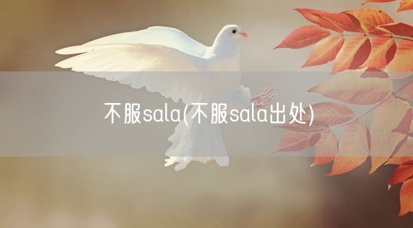 不服sala(不服sala出处)(图1)