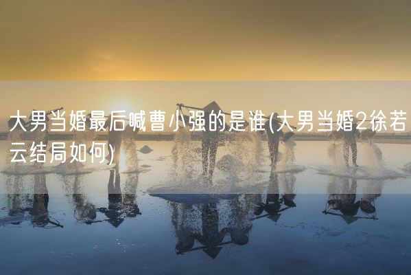 大男当婚最后喊曹小强的是谁(大男当婚2徐若云结局如何)(图1)