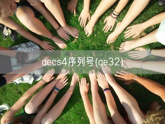 aecs4序列号(ae32)(图1) aecs4序列号(ae32)(图1)
