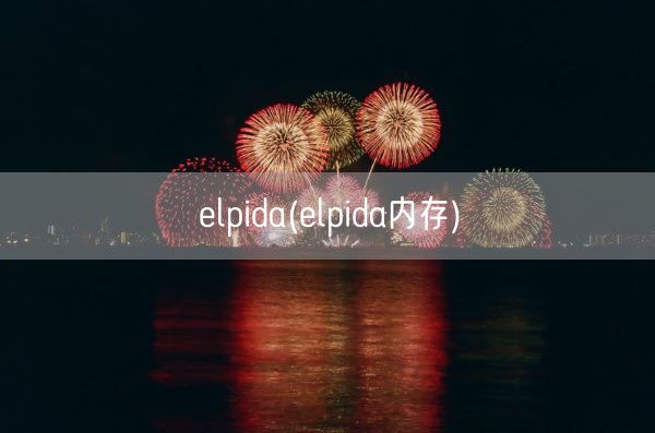 elpida(elpida内存)(图1) elpida(elpida内存)(图1)