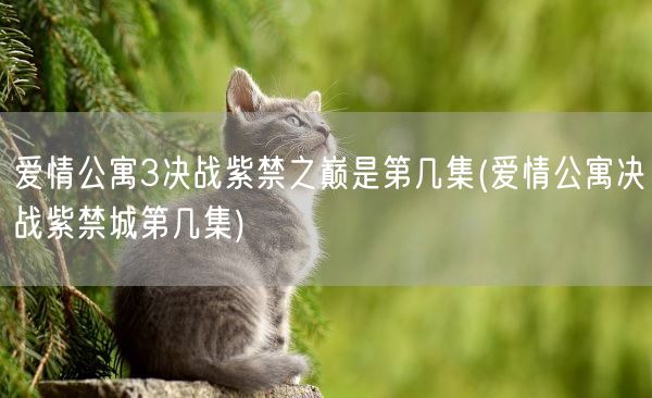 爱情公寓3决战紫禁之巅是第几集(爱情公寓决战紫禁城第几集)(图1) 爱情公寓3决战紫禁之巅是第几集(爱情公寓决战紫禁城第几集)(图1)