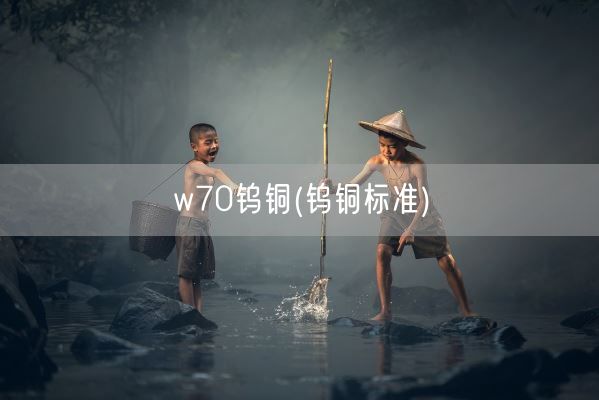 w70钨铜(钨铜标准)(图1)