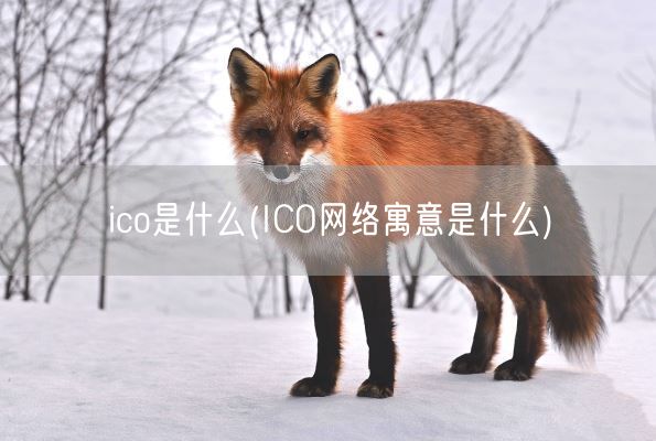 ico是什么(ICO网络寓意是什么)(图1) ico是什么(ICO网络寓意是什么)(图1)