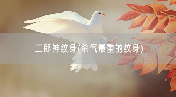 二郎神纹身(杀气最重的纹身)(图1) 二郎神纹身(杀气最重的纹身)(图1)