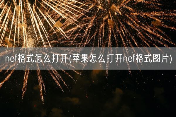 nef格式怎么打开(苹果怎么打开nef格式图片)(图1)