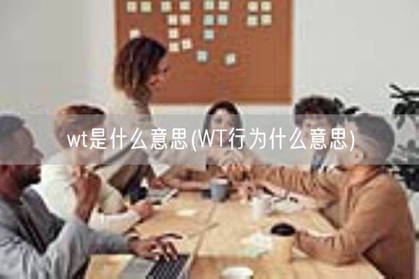 wt是什么意思(WT行为什么意思)(图1) wt是什么意思(WT行为什么意思)(图1)