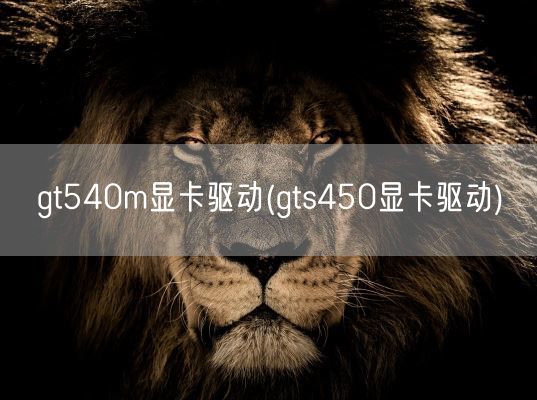 gt540m显卡驱动(gts450显卡驱动)(图1)