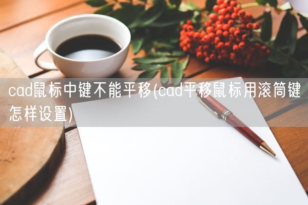 cad鼠标中键不能平移(cad平移鼠标用滚筒键怎样设置)(图1) cad鼠标中键不能平移(cad平移鼠标用滚筒键怎样设置)(图1)