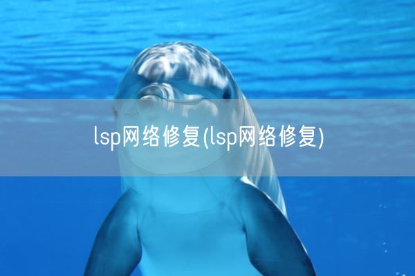 lsp网络修复(lsp网络修复)(图1) lsp网络修复(lsp网络修复)(图1)