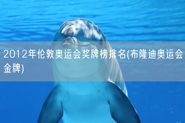 2012年伦敦奥运会奖牌榜排名(布隆迪奥运会金牌)(图1)