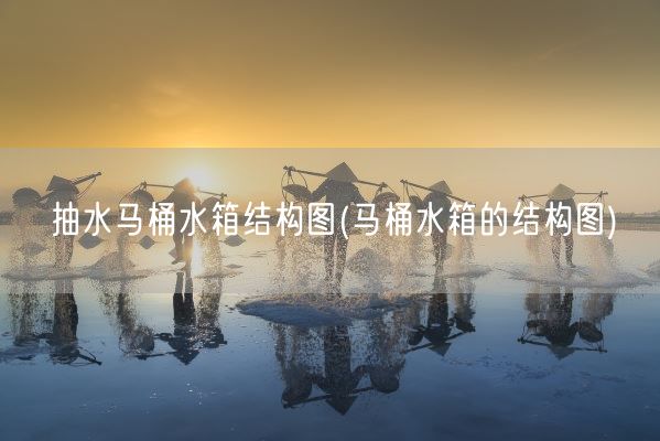 抽水马桶水箱结构图(马桶水箱的结构图)(图1) 抽水马桶水箱结构图(马桶水箱的结构图)(图1)