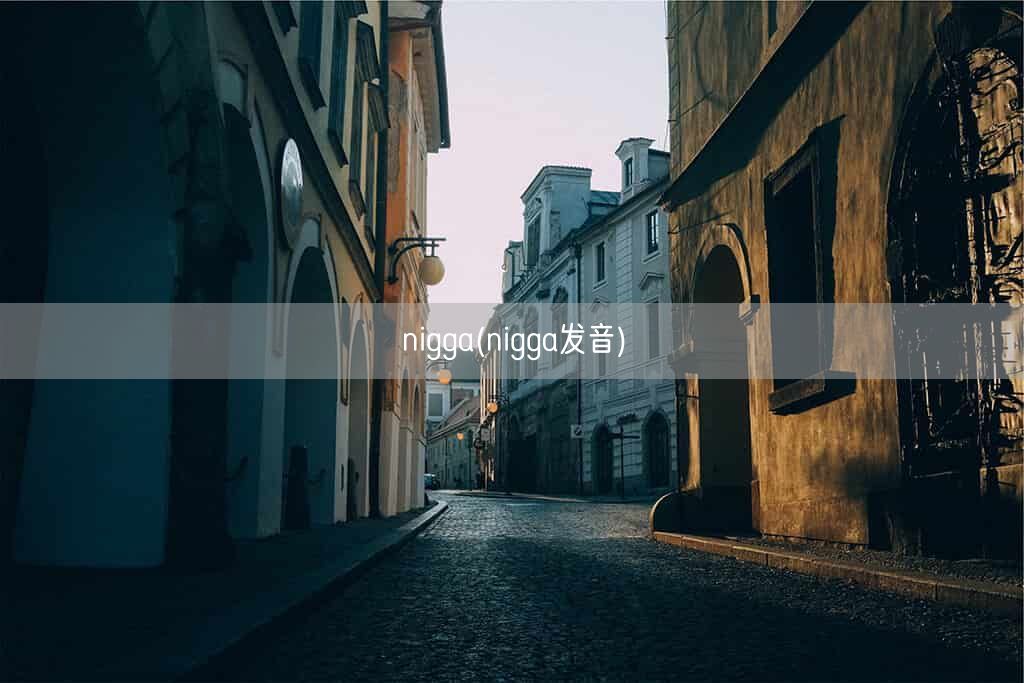 nigga(nigga发音)(图1)