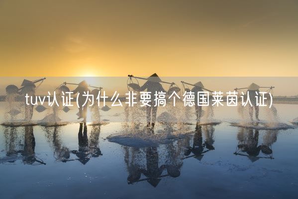 tuv认证(为什么非要搞个德国莱茵认证)(图1)