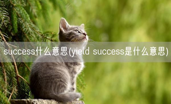 success什么意思(yield success是什么意思)(图1) success什么意思(yield success是什么意思)(图1)