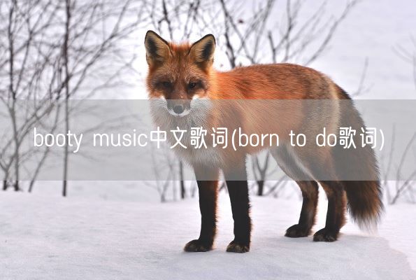 booty music中文歌词(born to do歌词)(图1)