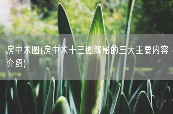 房中术图(房中术十三图解秘的三大主要内容介绍)(图1)