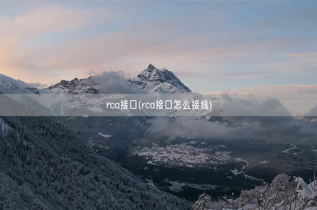 rca接口(rca接口怎么接线)(图1)