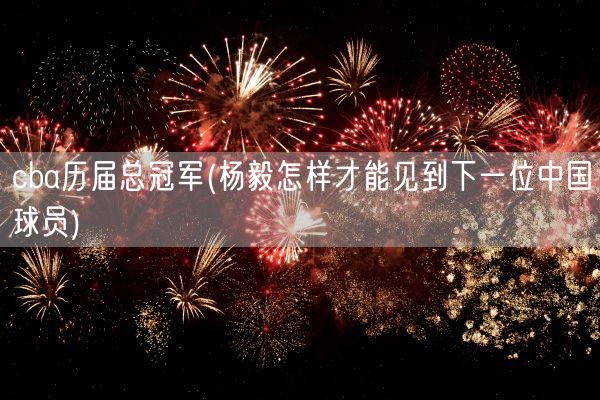 cba历届总冠军(杨毅怎样才能见到下一位中国球员)(图1)