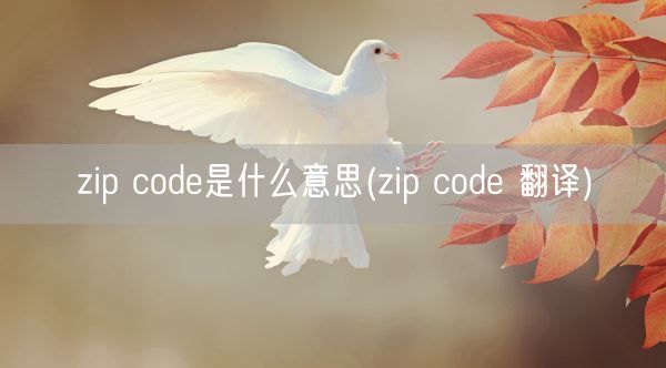 zip code是什么意思(zip code 翻译)(图1) zip code是什么意思(zip code 翻译)(图1)