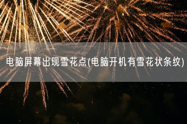 电脑屏幕出现雪花点(电脑开机有雪花状条纹)(图1)