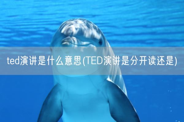 ted演讲是什么意思(TED演讲是分开读还是)(图1) ted演讲是什么意思(TED演讲是分开读还是)(图1)