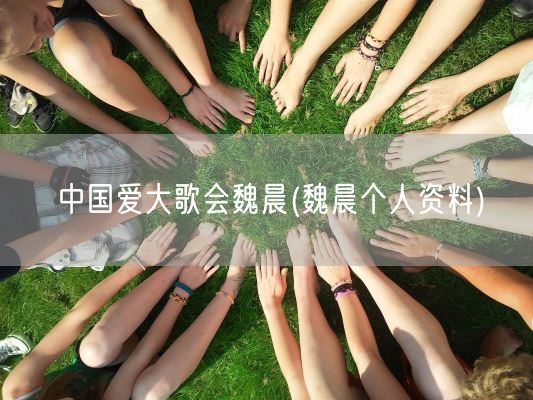 中国爱大歌会魏晨(魏晨个人资料)(图1)