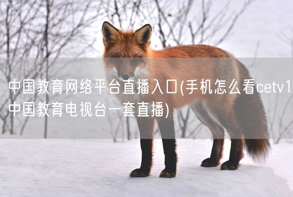 中国教育网络平台直播入口(手机怎么看cetv1中国教育电视台一套直播)(图1) 中国教育网络平台直播入口(手机怎么看cetv1中国教育电视台一套直播)(图1)