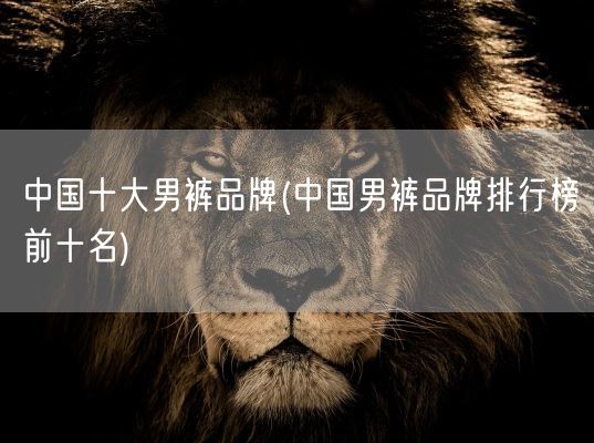 中国十大男裤品牌(中国男裤品牌排行榜前十名)(图1)