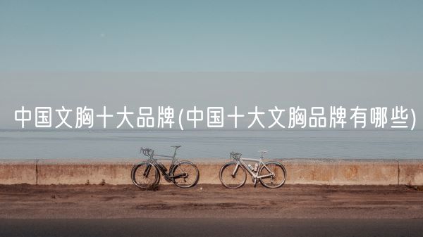 中国文胸十大品牌(中国十大文胸品牌有哪些)(图1)