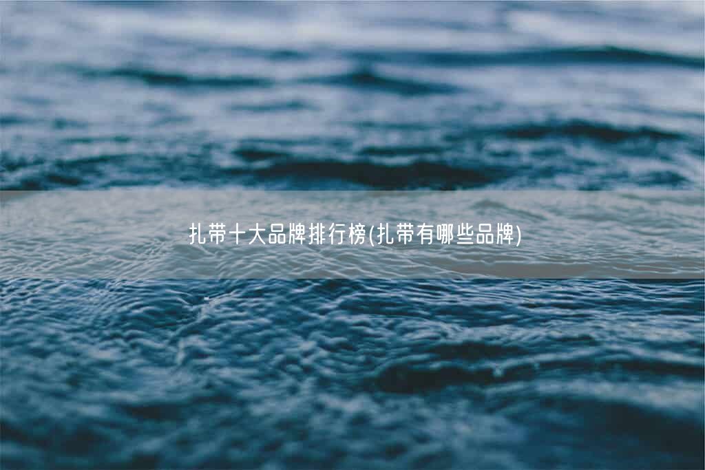扎带十大品牌排行榜(扎带有哪些品牌)(图1) 扎带十大品牌排行榜(扎带有哪些品牌)(图1)