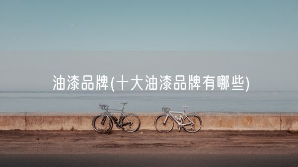 油漆品牌(十大油漆品牌有哪些)(图1) 油漆品牌(十大油漆品牌有哪些)(图1)