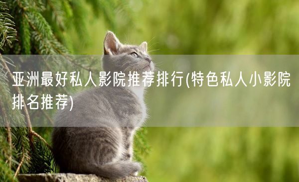 亚洲最好私人影院推荐排行(特色私人小影院排名推荐)(图1)