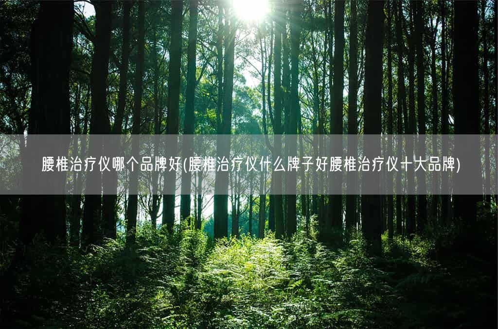 腰椎治疗仪哪个品牌好(腰椎治疗仪什么牌子好腰椎治疗仪十大品牌)(图1)