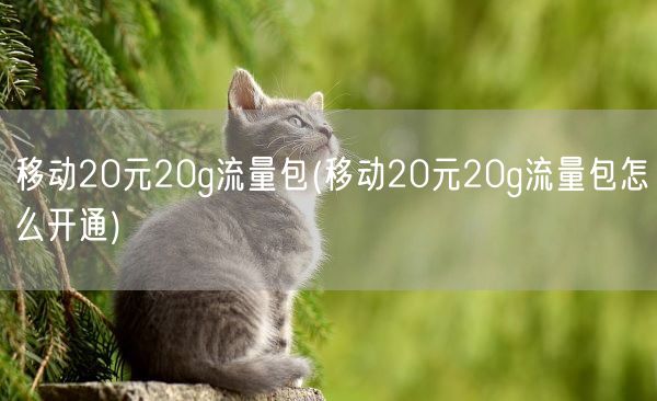 移动20元20g流量包(移动20元20g流量包怎么开通)(图1) 移动20元20g流量包(移动20元20g流量包怎么开通)(图1)