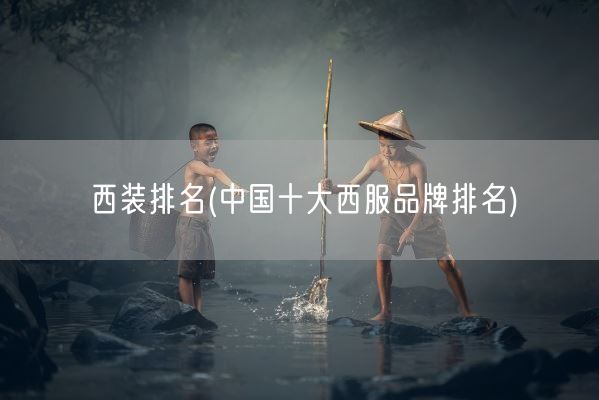 西装排名(中国十大西服品牌排名)(图1)
