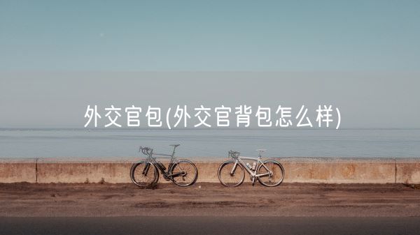 外交官包(外交官背包怎么样)(图1) 外交官包(外交官背包怎么样)(图1)