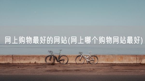 网上购物最好的网站(网上哪个购物网站最好)(图1)