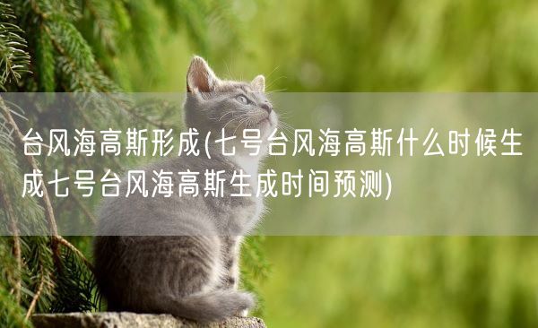 台风海高斯形成(七号台风海高斯什么时候生成七号台风海高斯生成时间预测)(图1) 台风海高斯形成(七号台风海高斯什么时候生成七号台风海高斯生成时间预测)(图1)