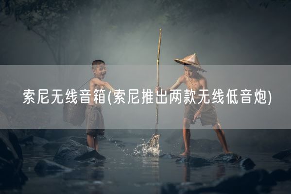 索尼无线音箱(索尼推出两款无线低音炮)(图1) 索尼无线音箱(索尼推出两款无线低音炮)(图1)