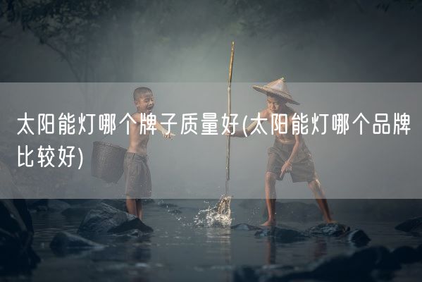 太阳能灯哪个牌子质量好(太阳能灯哪个品牌比较好)(图1) 太阳能灯哪个牌子质量好(太阳能灯哪个品牌比较好)(图1)