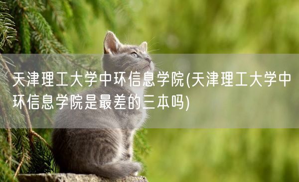 天津理工大学中环信息学院(天津理工大学中环信息学院是最差的三本吗)(图1)