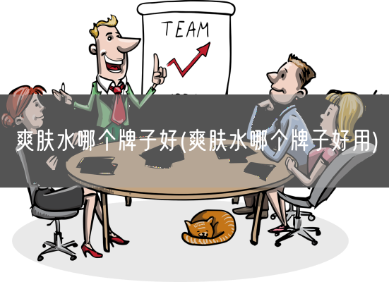 爽肤水哪个牌子好(爽肤水哪个牌子好用)(图1) 爽肤水哪个牌子好(爽肤水哪个牌子好用)(图1)