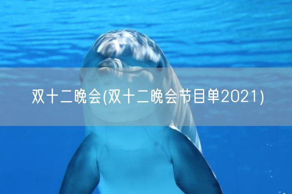 双十二晚会(双十二晚会节目单2021)(图1) 双十二晚会(双十二晚会节目单2021)(图1)
