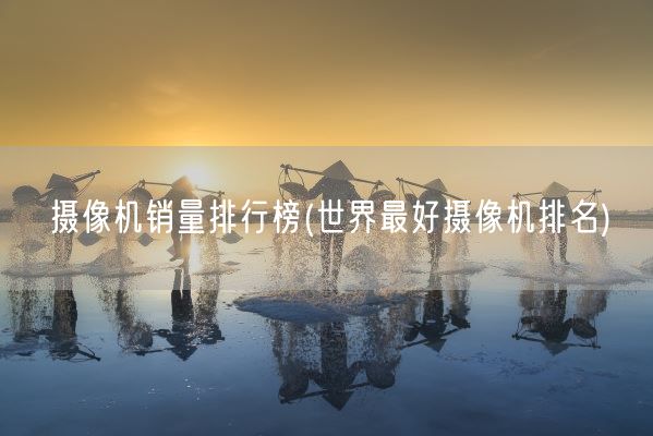摄像机销量排行榜(世界最好摄像机排名)(图1)