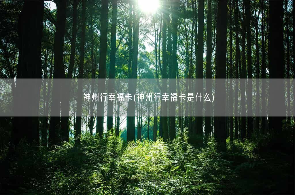 神州行幸福卡(神州行幸福卡是什么)(图1) 神州行幸福卡(神州行幸福卡是什么)(图1)